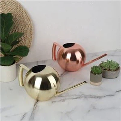 1L ruostumaton kastelukannupallo