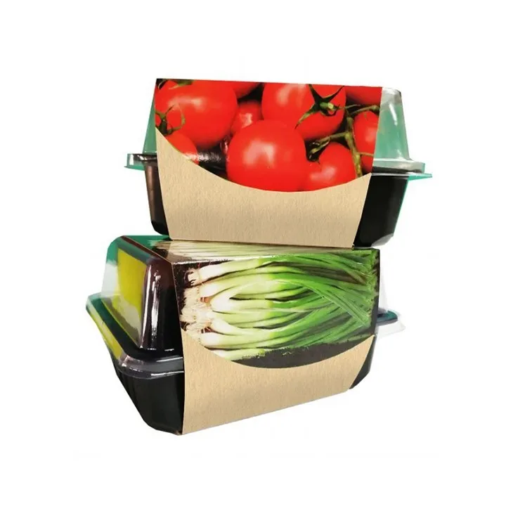 Kasvatussarja minikasvihuoneessa